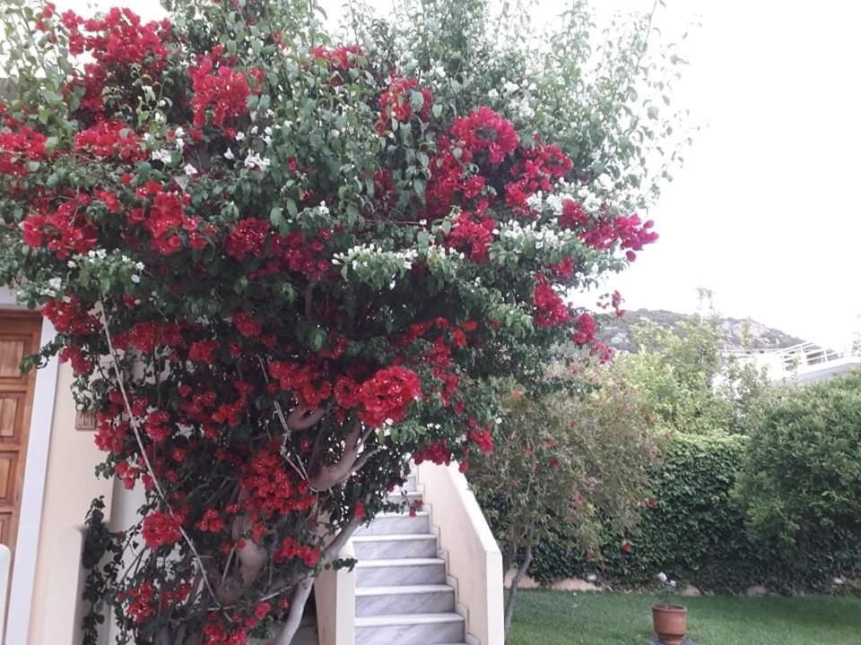 Le Due Sorelle Spilia  Exterior foto
